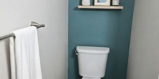 Palms of Clearwater Gallery 40