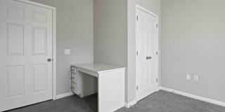 Lake Clearwater Gallery 51