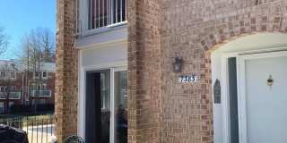 3783 PERSIMMON Circle Gallery 1