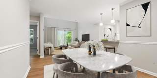 Everly Darien Gallery 2