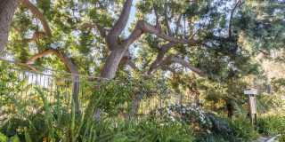 Orange Grove Circle Gallery 4