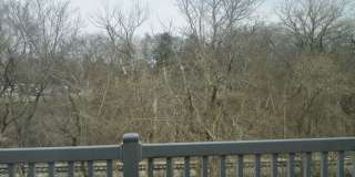 Cozy 2 Bedroom 2 Bath Condo in Iowa City! Gallery 15