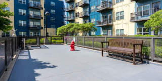 Wheaton 121 Gallery 25