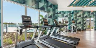 The Vivien Gallery 66