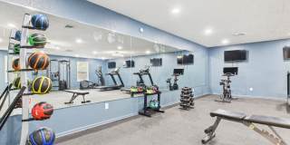 Cheswick Village Gallery 14