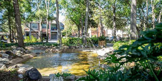 Park at Armand Bayou Gallery 15