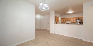 800 Peachy Canyon Circle Gallery 21