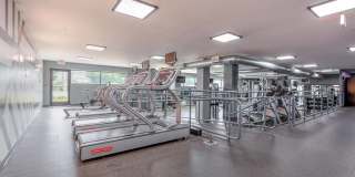 Terano Apartment Homes Gallery 13