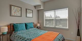 Element 170 Gallery 24