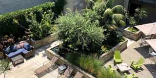 Olea Gallery 67