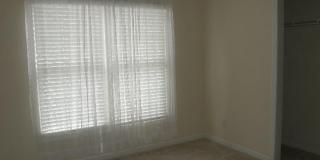 207 Cove Creek Drive Gallery 12