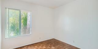 3253 Caminito Eastbluff Gallery 22