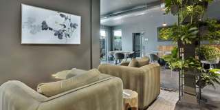 Lotus Republic Gallery 9