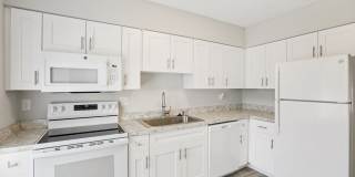 Silver Palms Gallery 10