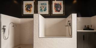 Oro Ballantyne Gallery 47