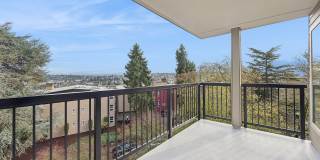 Arrive Magnolia Gallery 36