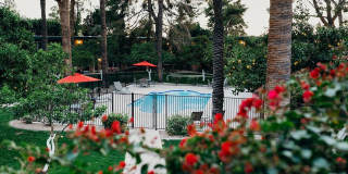 Oasis in the City Oasis in the City Gallery 1