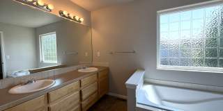 Premium Fort Collins Living with Space to Grow |4-Bedroom Home Gallery 13