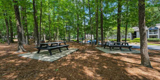 Balmoral Village Gallery 16