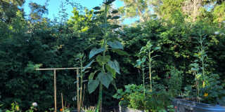 Copper Creek Sacramento Copper Creek Sacramento Gallery 8