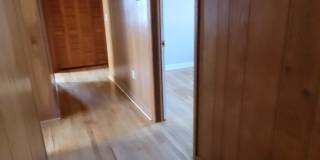 206 Columbia Ave, Chapin SC 29036 Gallery 28