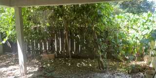 1745 Deer Creek Court Gallery 11