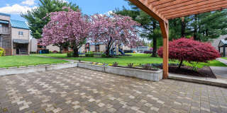 East Wind Gallery 39