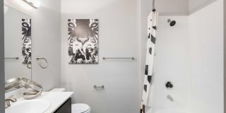 Ventana Canyon Apartments Gallery 13
