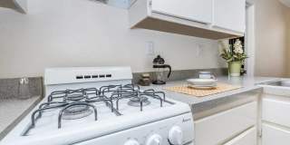 Senior Housing - Villa Serena Senior Apartments Gallery 61