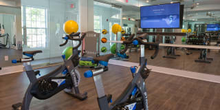 Alister Quincy Gallery 21