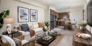 The Residences at Cota Vera Gallery 30