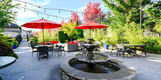 Bella Sonoma Gallery 23
