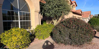 3500 SFT home, 5 Bed 3 bath with POOL and 3 car garage Gallery 6