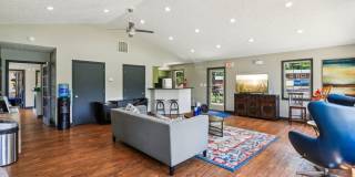 Meadow Park Gallery 31