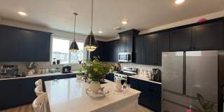 Beautiful 2024-Built 4 Bedroom, 4 Bathroom Home with Pikes Peak Views off Interquest!!! Gallery 16