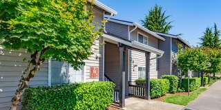 Black Lake Gallery 7