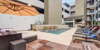 COLE COLE Gallery 49