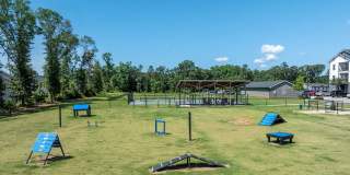 The Aster Gallery 35