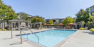 The Tides Apartments Gallery 2