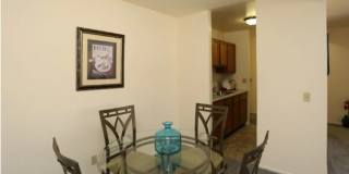 Park Village Gallery 8