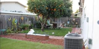 Charming 3BR House in San Jose Gallery 26