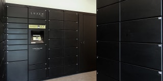 The Donovan Apartment Homes Gallery 14