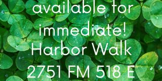 Harbor Walk Gallery 58