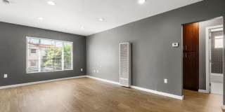 Vista (Loboda 1326) Gallery 1
