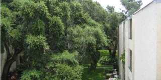 209 W Miracle Strip Parkway 209 W Miracle Strip Parkway Gallery 22
