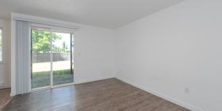 Olympic Village Gallery 7