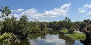 804 PALM HARBOR COURT Gallery 28