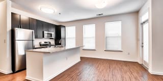 Windsor at Liberty House Gallery 4