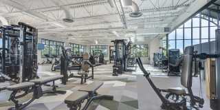 Palomino Park Resort Gallery 8