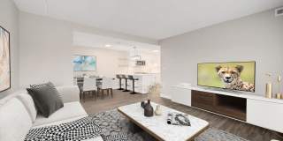 Modern, Tranquil, High-End Apartment in Downtown Downers Grove Gallery 7